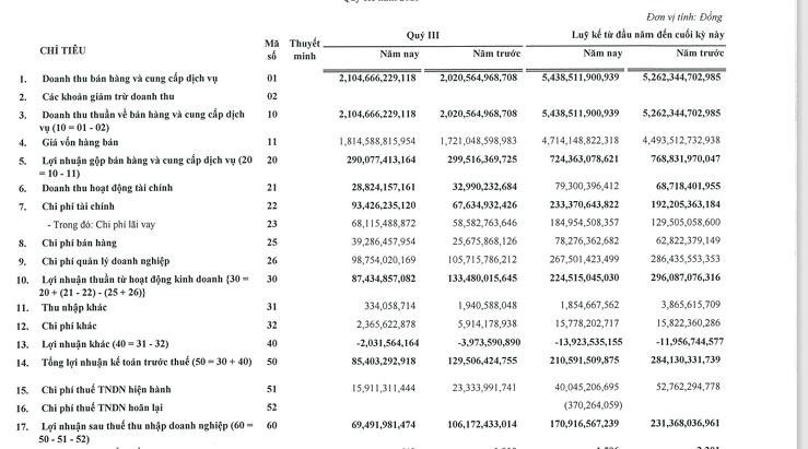 Đầu tư và thương mại TNG (TNG): Gánh nặng chi phí, lãi quý III giảm 35% - Ảnh 1.
