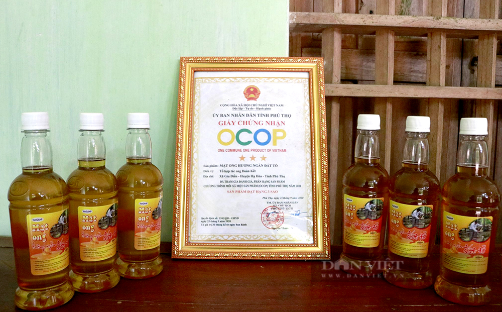 Lập tổ hợp tác, hợp tác xã sản xuất mật ong rừng, gắn sao OCOP nức tiếng - Ảnh 2.