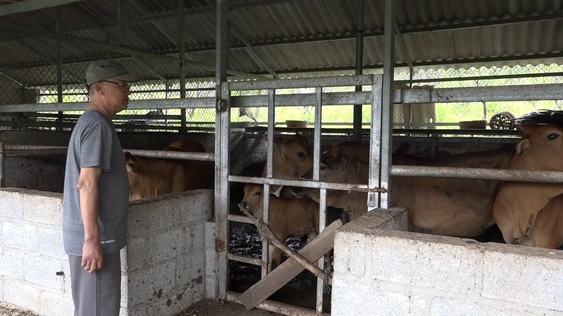 Xuất ngũ, đau đáu chuyện thoát nghèo, lão nông ở Cao Bằng đưa gia tài lên đồi...trở thành nông dân Việt Nam xuất sắc 2023 - Ảnh 3.