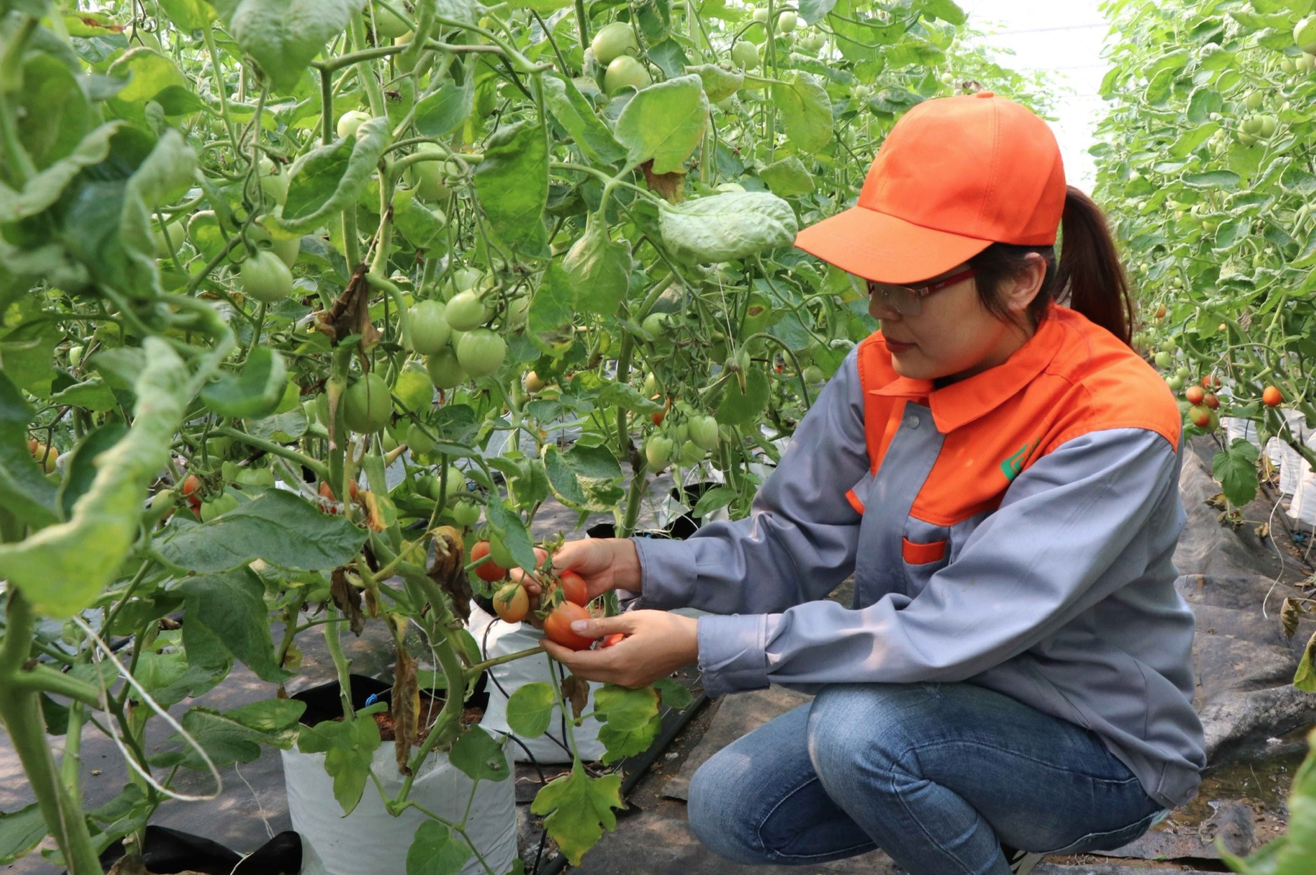 Khởi nghiệp chẳng bao giờ là dễ - Ảnh 1. Khởi nghiệp chẳng bao giờ là dễ - Ảnh 1.