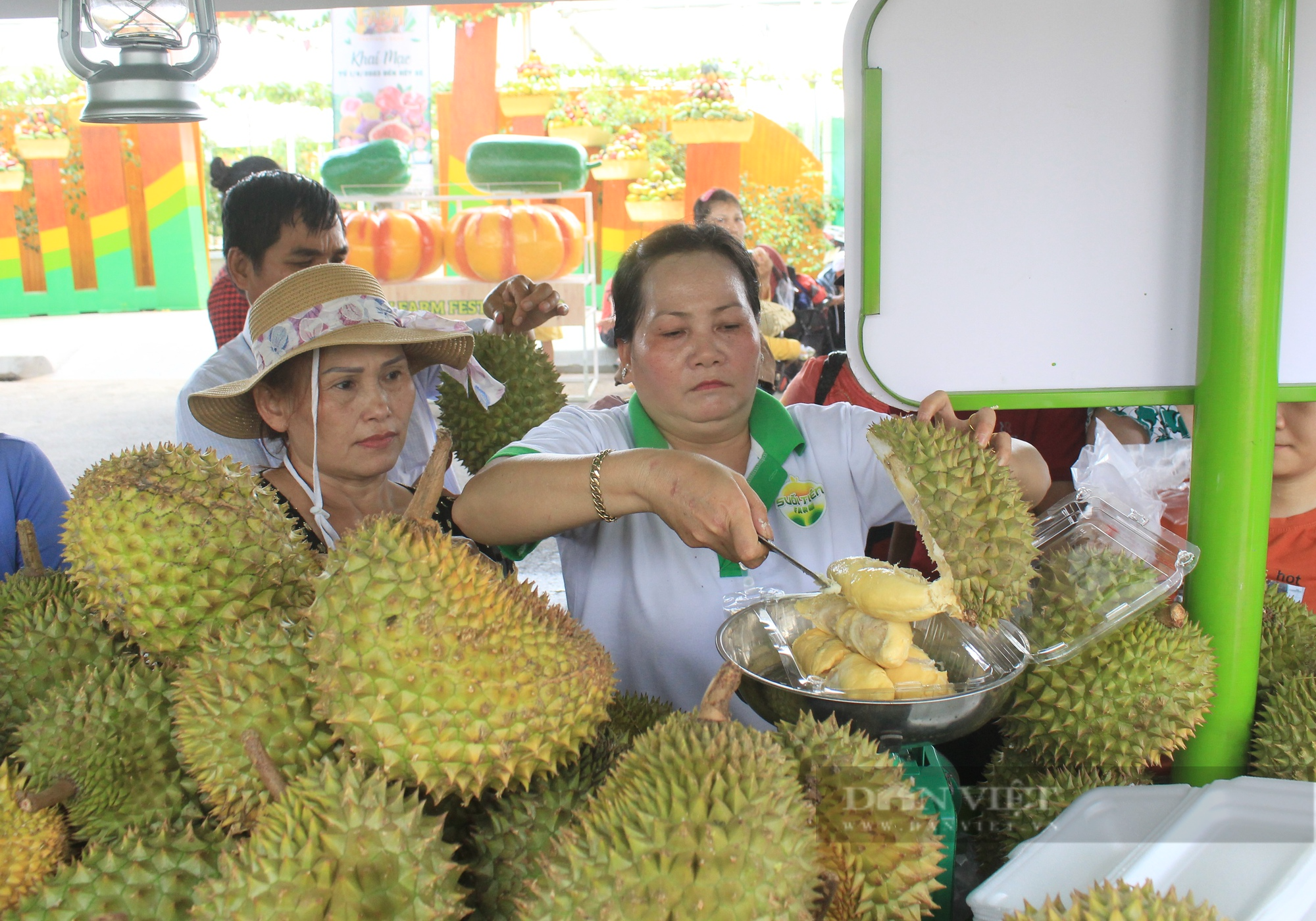 Tiểu thương gom tiền bạc, tài sản chốt giá ào ào vào sầu riêng Đắk Lắk và cái kết vỡ mộng làm giàu - Ảnh 2.