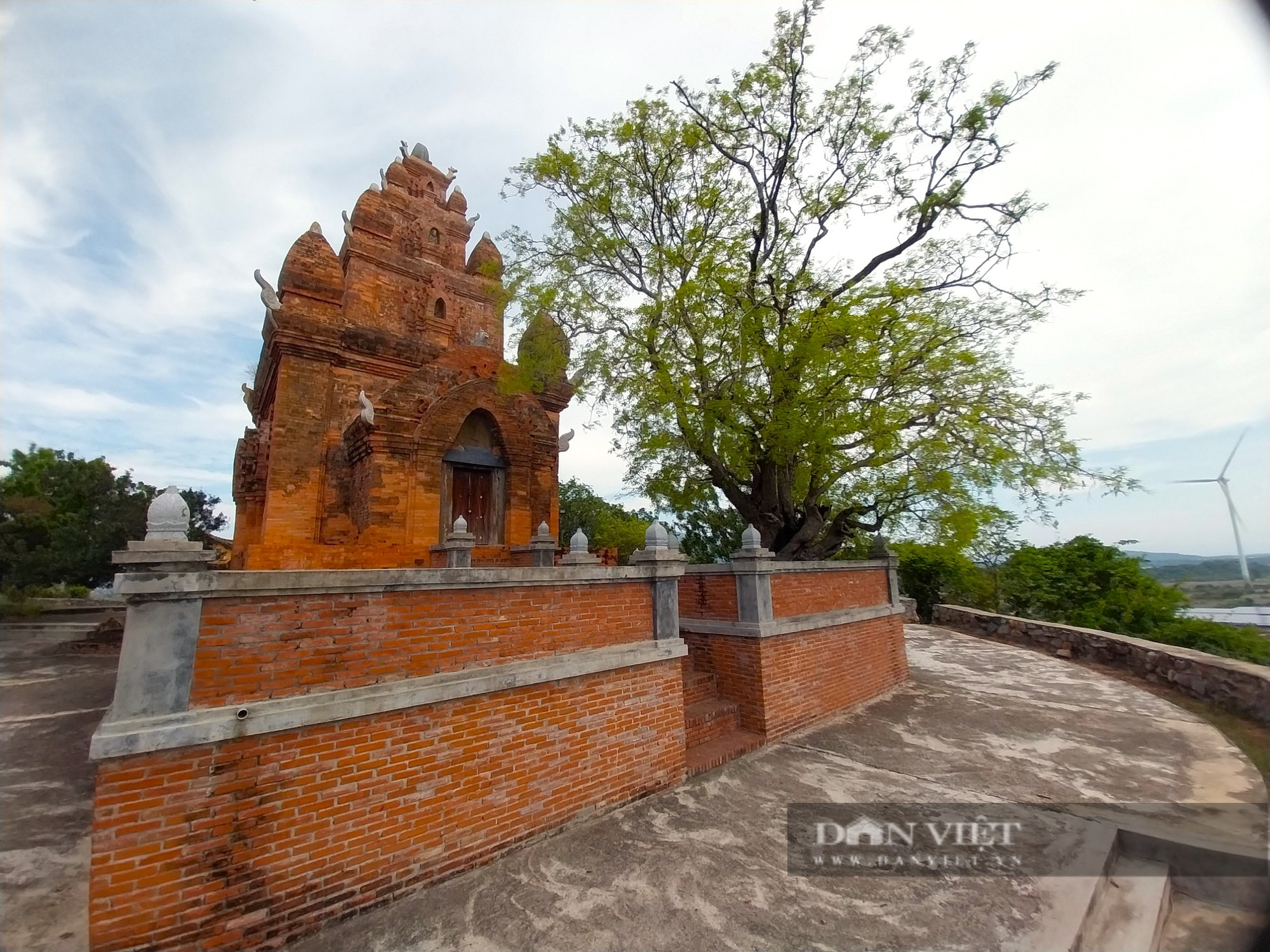Cây me trong tín ngưỡng và văn hóa ẩm thực của người Chăm ở Ninh Thuận - Ảnh 7.