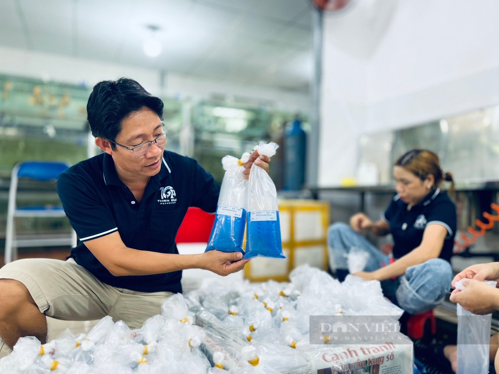 Anh nông dân “đất thép” Củ Chi nuôi cá triệu đô xuất khẩu - Ảnh 1.