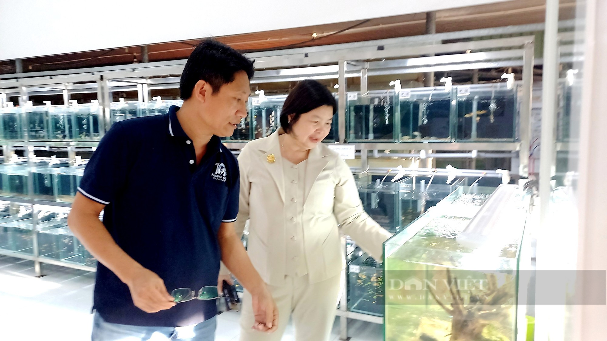 Anh nông dân “đất thép” Củ Chi nuôi cá triệu đô xuất khẩu - Ảnh 3.
