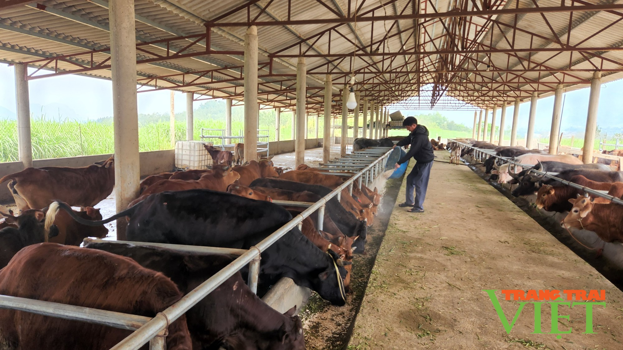 Nông dân Lai Châu thi đua sản xuất, kinh doanh giỏi - Ảnh 1. Nông dân Lai Châu thi đua sản xuất, kinh doanh giỏi - Ảnh 1.