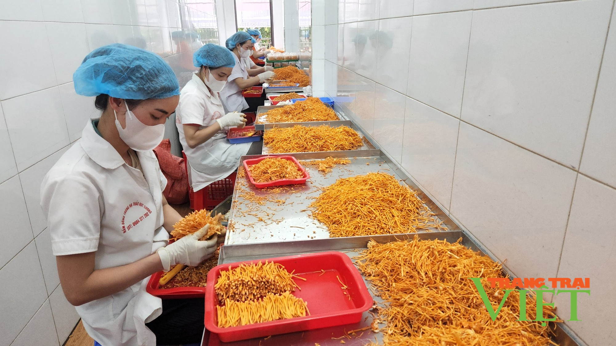 Nông dân Lai Châu thi đua sản xuất, kinh doanh giỏi - Ảnh 2. Nông dân Lai Châu thi đua sản xuất, kinh doanh giỏi - Ảnh 2.