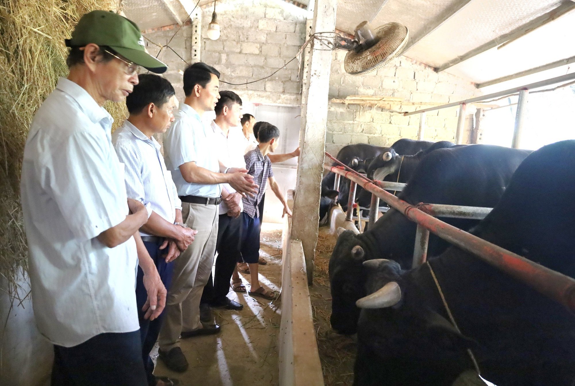 Ninh Bình: Gần 50 cán bộ, hội viên nông dân tham quan các mô hình xử lý rác thải hữu cơ thân thiện môi trường - Ảnh 2.