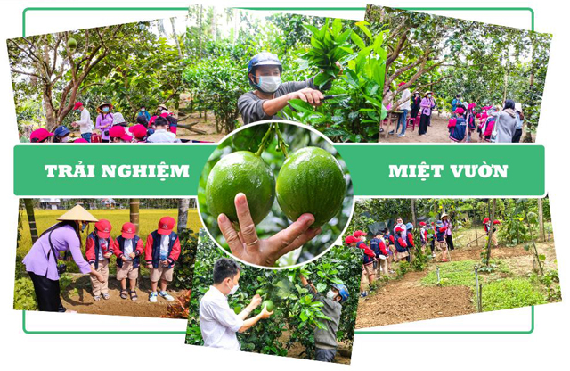 Huyện duy nhất ở Quảng Ngãi “trắng” sản phẩm OCOP - Ảnh 6. Huyện duy nhất ở Quảng Ngãi “trắng” sản phẩm OCOP - Ảnh 6.