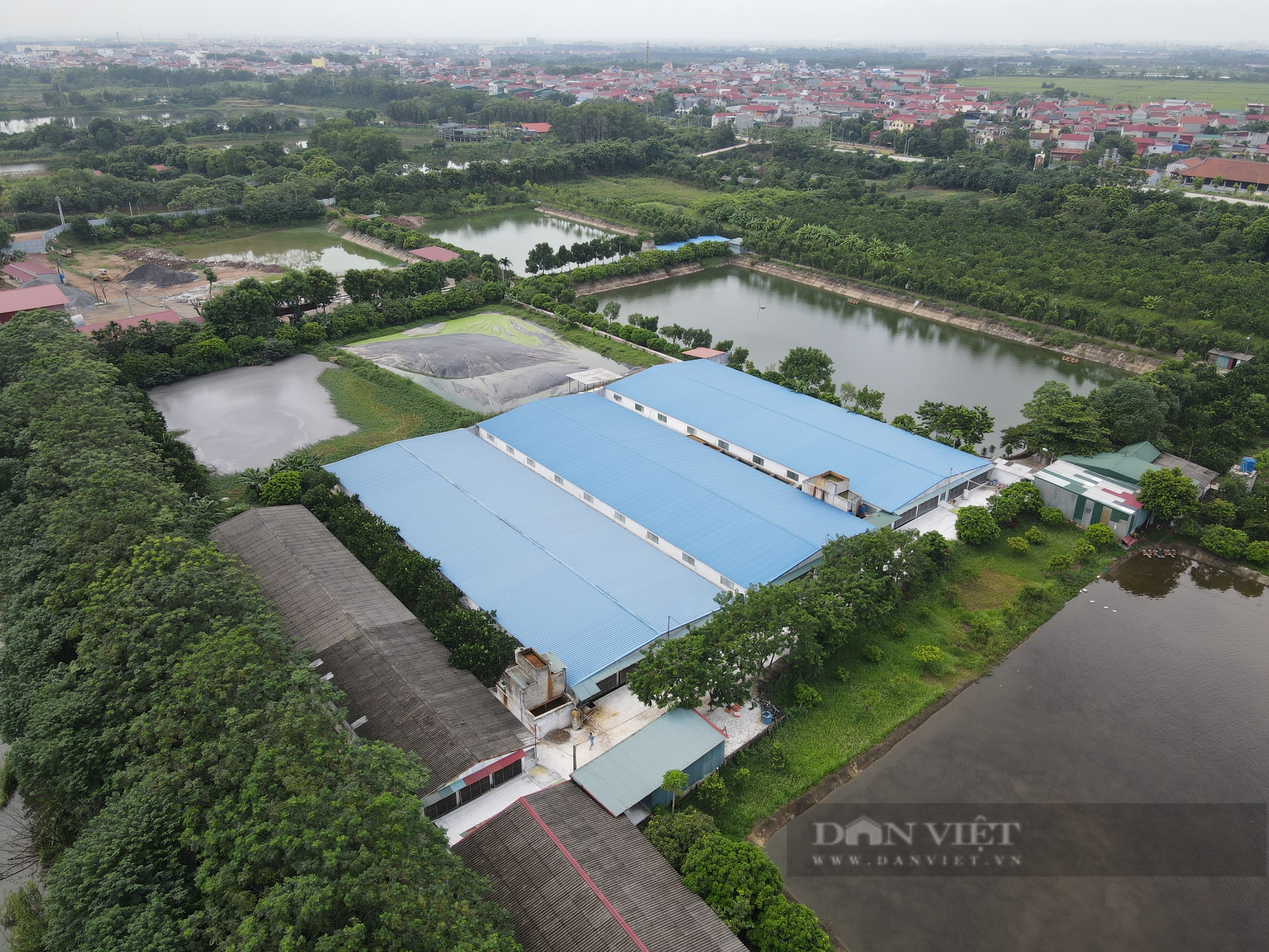 Nông dân Việt Nam xuất sắc 2023 đến từ Bắc Ninh biến khu lò gạch cũ thành trang trại, doanh thu hơn 30 tỷ đồng/năm - Ảnh 5.
