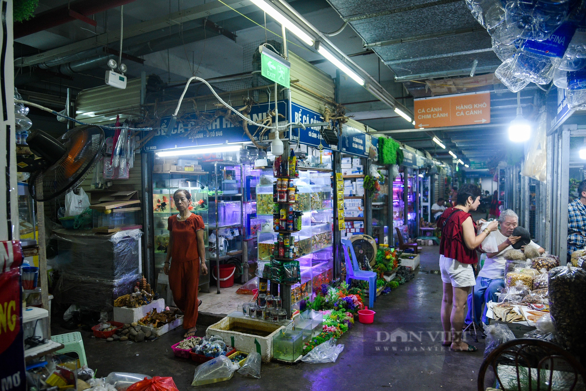 Khám phá khu chợ trăm tuổi của Hà Nội được &quot;đưa xuống lòng đất&quot; - Ảnh 11.
