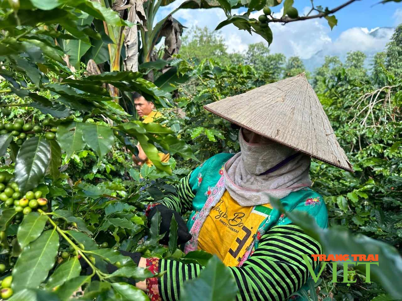 Điện Biên: Đôn đốc đẩy nhanh tiến độ triển khai chương trình xây dựng nông thôn mới - Ảnh 1. Điện Biên: Đôn đốc đẩy nhanh tiến độ triển khai chương trình xây dựng nông thôn mới - Ảnh 1.