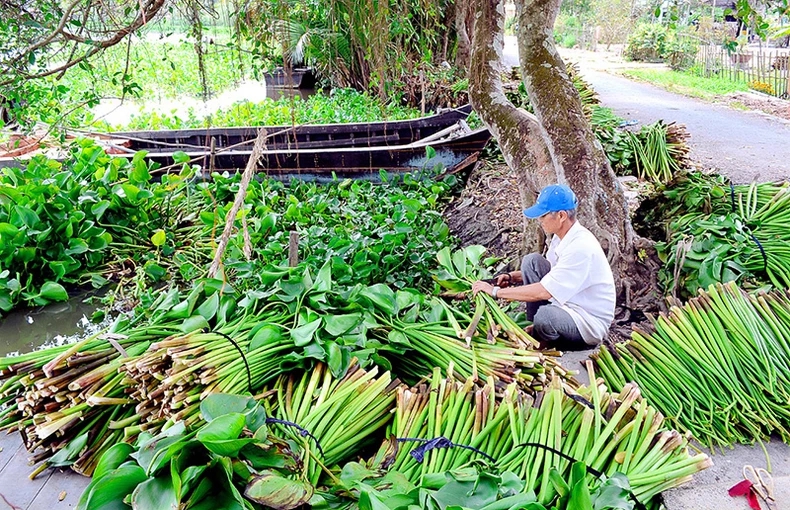 Gom thứ vạ vật, trôi nổi trên sông Cái Lớn làm ra đồ đẹp, phụ nữ một nơi ở Cà Mau có việc, có tiền - Ảnh 2.