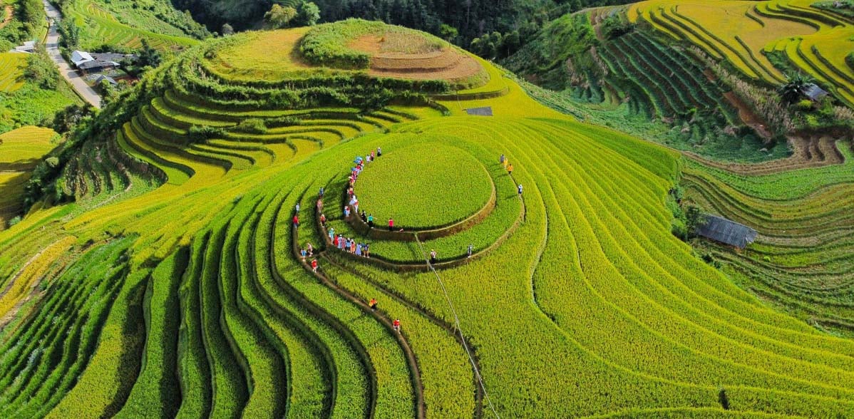 Kinh nghiệm và những lưu ý khi đi check in mùa vàng Mù Cang Chải 2023 - Ảnh 2.