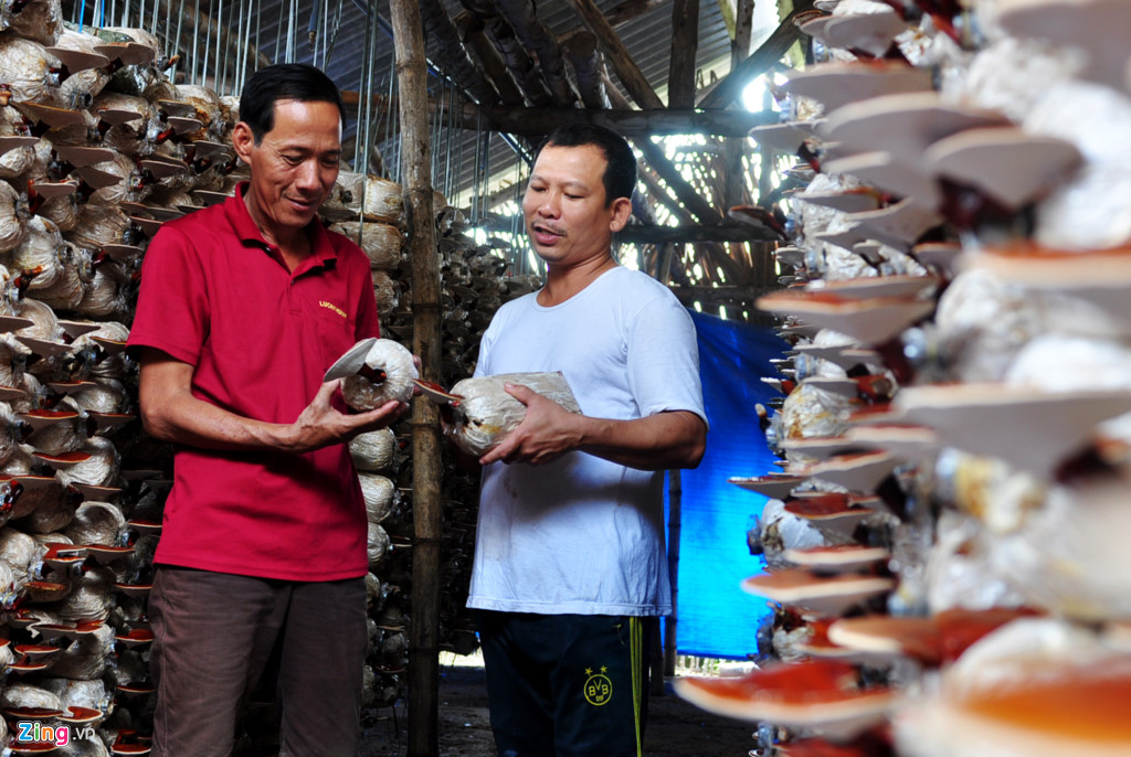 Tập trung phát triển kinh tế, “mở đường” cho Quảng Ngãi nâng tầm nông thôn mới - Ảnh 4.