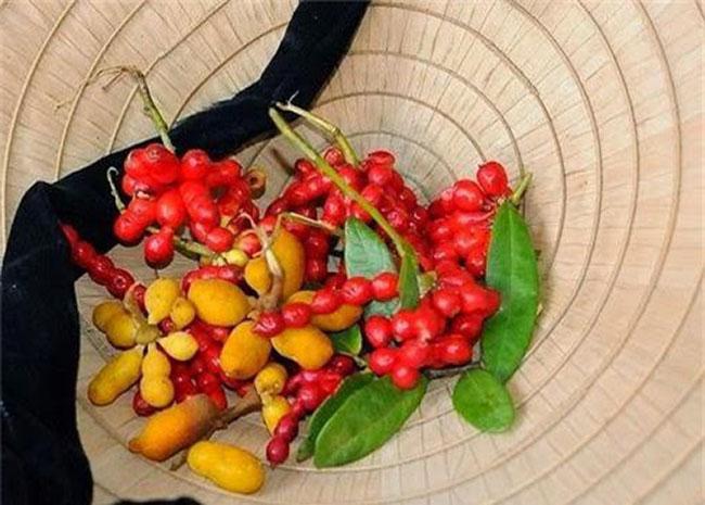 Thứ quả nghe tên thì 'chết ngất' nhưng có hương vị thơm ngon, ăn một lần là nhớ mãi - Ảnh 2. Thứ quả nghe tên thì 'chết ngất' nhưng có hương vị thơm ngon, ăn một lần là nhớ mãi - Ảnh 2.