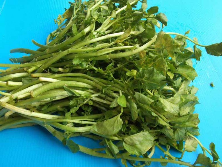Có sẵn ở chợ Việt, chỉ hơn 10.000 đồng/bó, ví là 'siêu thực phẩm', ngừa được K, hóa ra là loại rau này - Ảnh 5. Có sẵn ở chợ Việt, chỉ hơn 10.000 đồng/bó, ví là 'siêu thực phẩm', ngừa được K, hóa ra là loại rau này - Ảnh 5.