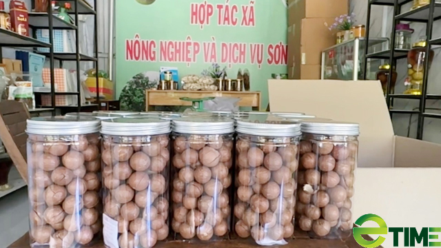 Quảng Ngãi: Chủ tịch huyện Sơn Tây nói gì về việc “trắng” sản phẩm OCOP? - Ảnh 3. Quảng Ngãi: Chủ tịch huyện Sơn Tây nói gì về việc “trắng” sản phẩm OCOP? - Ảnh 3.
