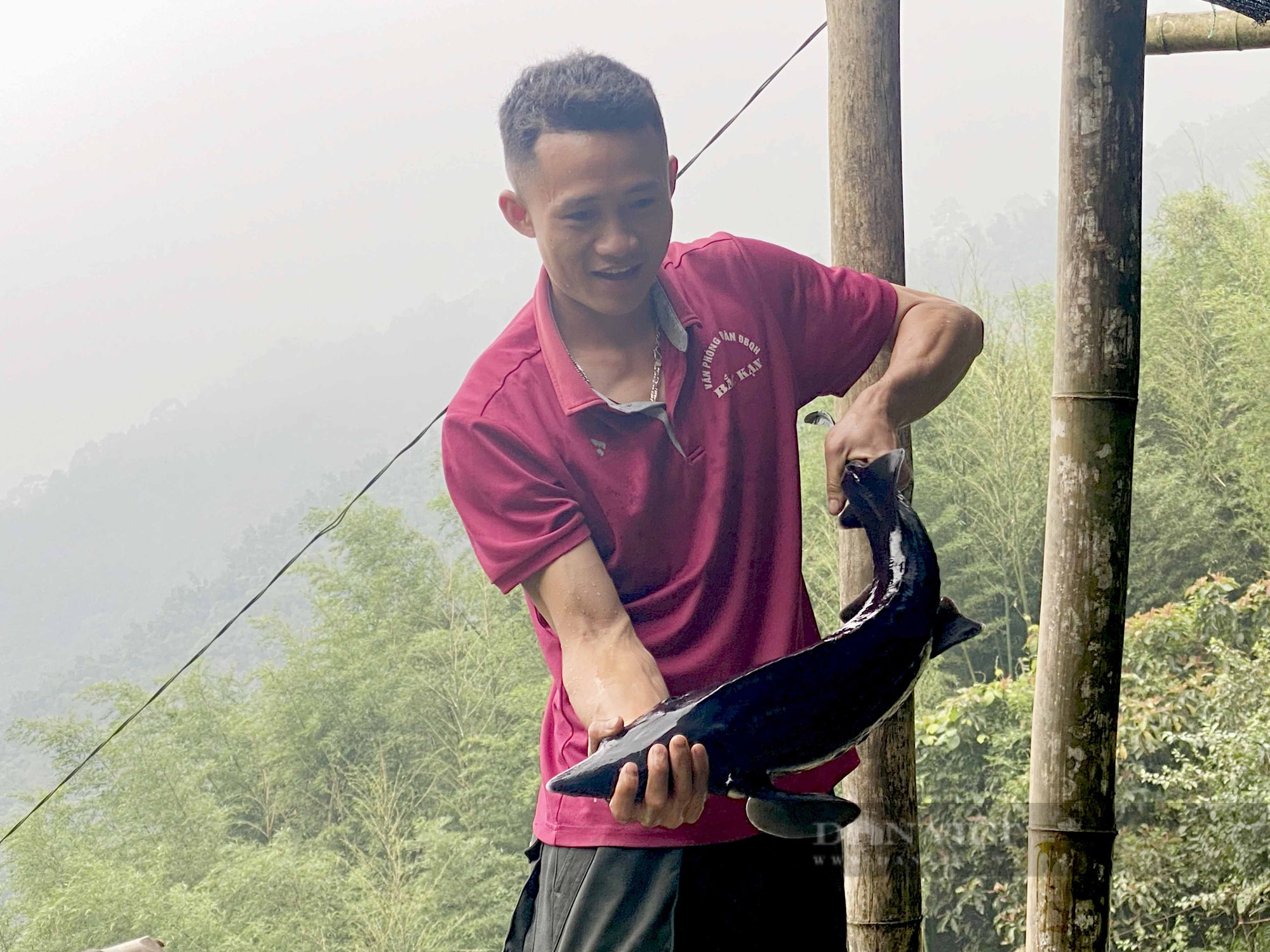 Chủ tịch HND tỉnh Bắc Kạn: Cần tăng cường chuyển giao khoa học kỹ thuật để nâng cao giá trị hàng hóa - Ảnh 3.