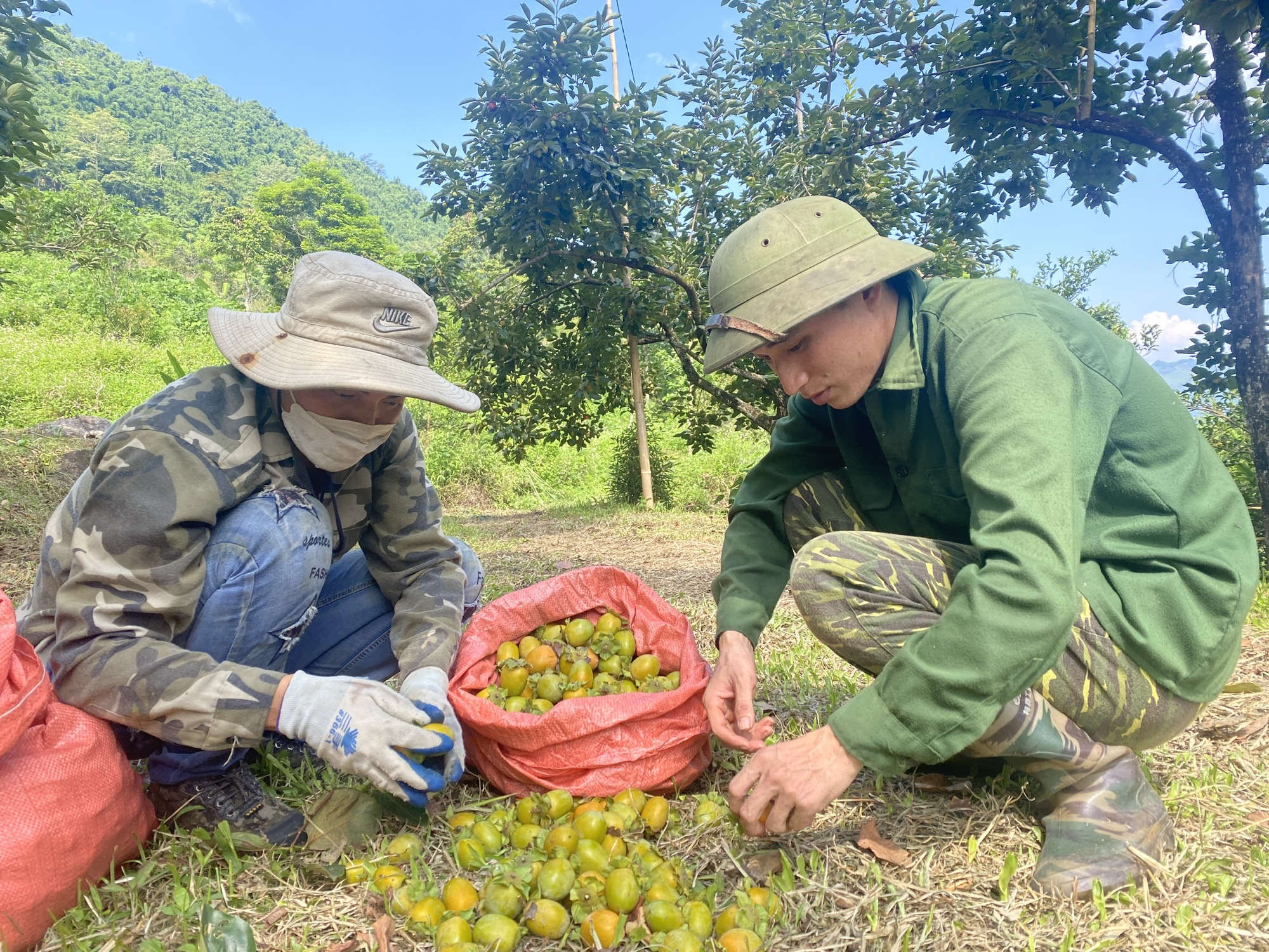 Chủ tịch HND tỉnh Bắc Kạn: Cần tăng cường chuyển giao khoa học kỹ thuật để nâng cao giá trị hàng hóa - Ảnh 8.
