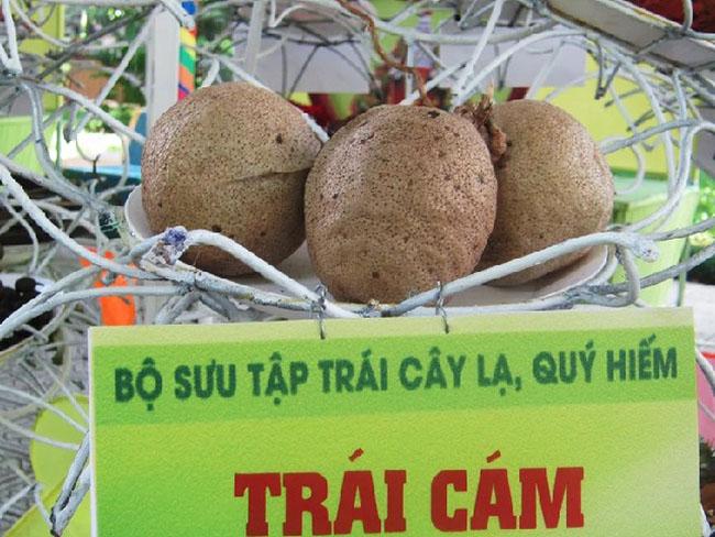 Thứ quả rất quý hiếm và độc đáo của miền Tây Nam bộ, biết giá ai cũng phải tìm mua ăn bằng được - Ảnh 7.