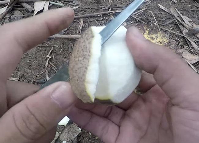 Thứ quả rất quý hiếm và độc đáo của miền Tây Nam bộ, biết giá ai cũng phải tìm mua ăn bằng được - Ảnh 8.