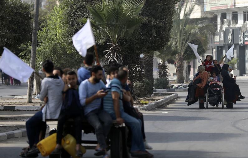 Hành trình di tản tuyệt vọng của hàng nghìn người Palestine - Ảnh 5.