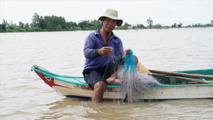 Chơi vơi mùa nước nổi: Đồng Tháp Mười vào chính vụ mùa lũ mà vẫn &quot;đói&quot; tôm, cá - Ảnh 1.
