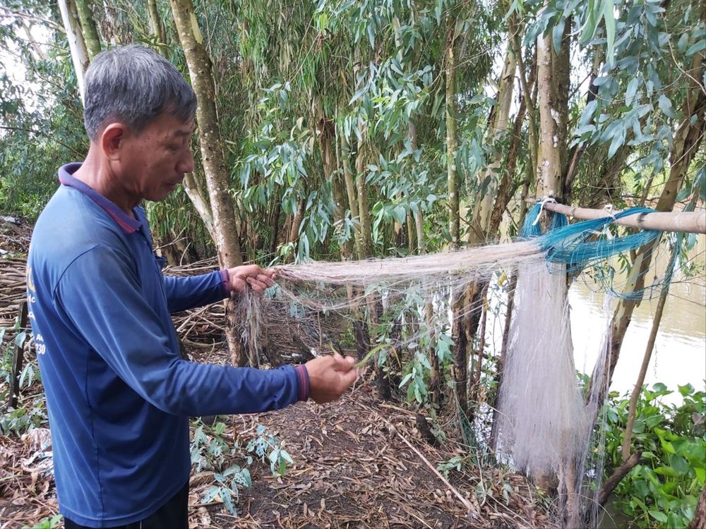 Chơi vơi mùa nước nổi: Đồng Tháp Mười vào chính vụ mùa lũ mà vẫn &quot;đói&quot; tôm, cá - Ảnh 3.
