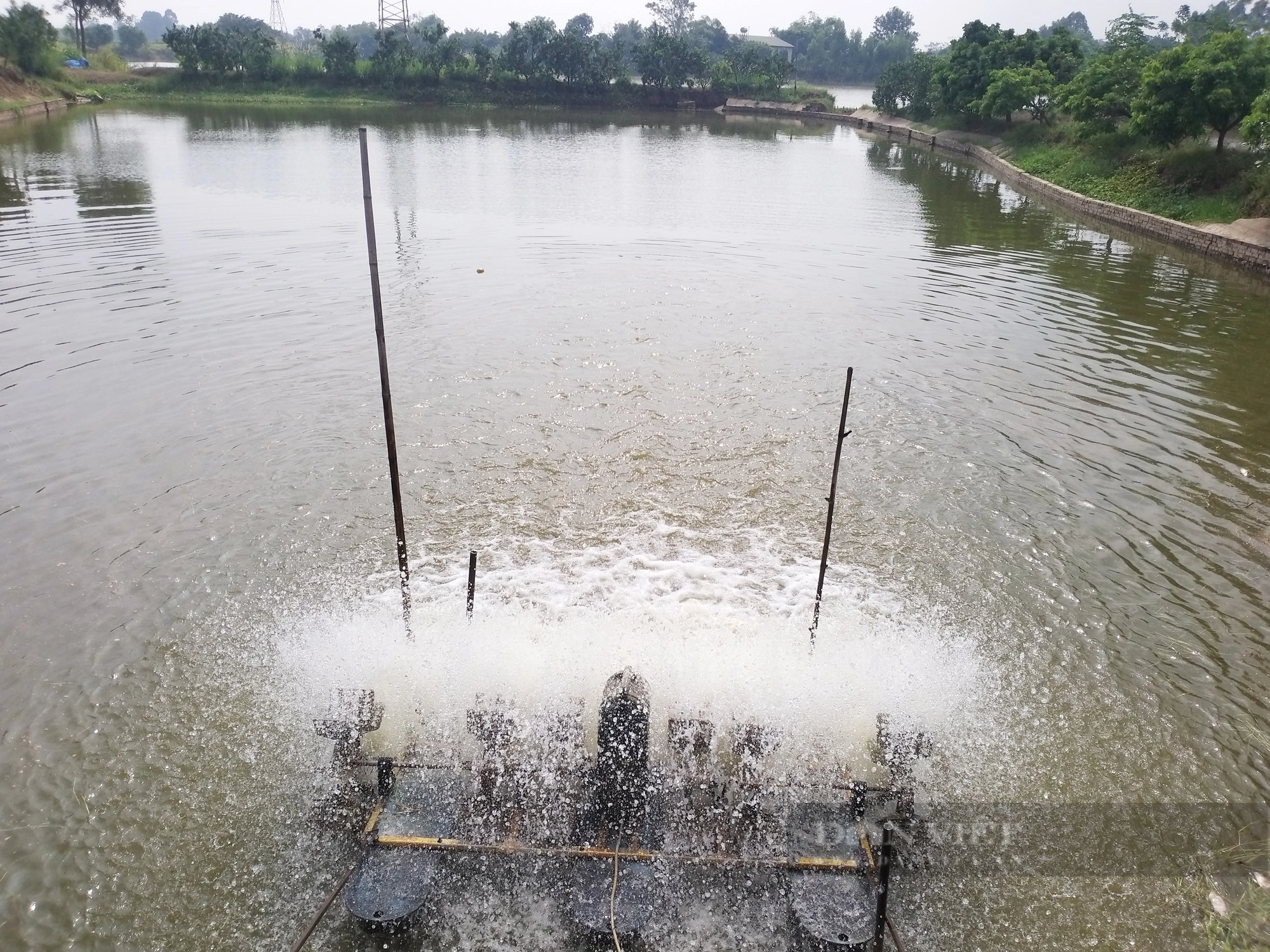 Sau loạt bài:&quot;Trục trặc&quot; chuyển đổi số nông nghiệp: Cán bộ thay đổi cách làm, nông dân vào App thuận lợi hơn - Ảnh 4.