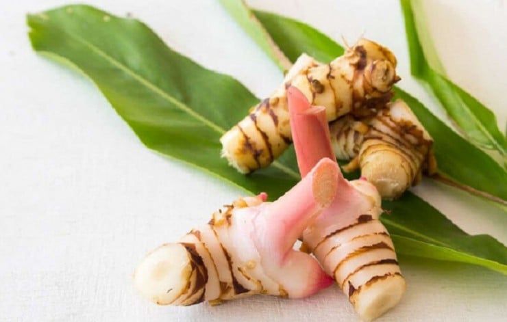 Loại củ cả thế giới khó tìm, chống được ung thư, Việt Nam lại trồng đầy vườn, giá rẻ bèo - Ảnh 1. Loại củ cả thế giới khó tìm, chống được ung thư, Việt Nam lại trồng đầy vườn, giá rẻ bèo - Ảnh 1.