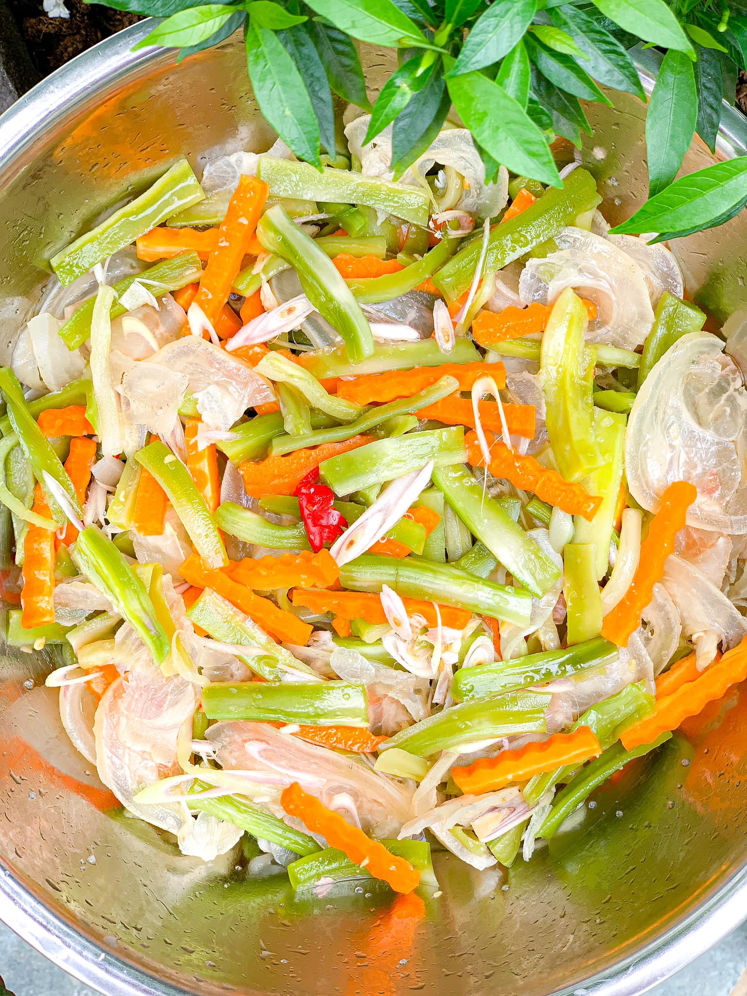Bộ phận này của con bò được &quot;dân nhậu&quot; cực kì thích, đem ngâm với rau tiến vua thành món ăn tuyệt hảo - Ảnh 7.