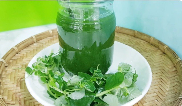 “Thần dược” giúp hỗ trợ điều trị nhiều loại bệnh, hóa ra là loại rau mọc dại này ở Việt Nam - Ảnh 3.