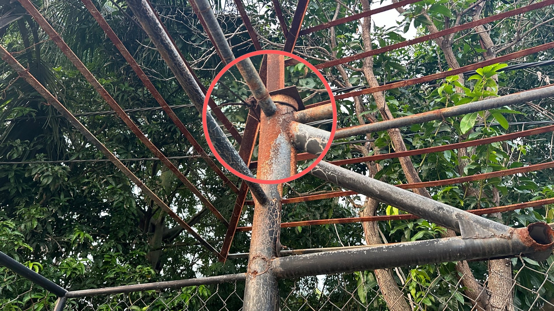 Khu công viên sinh thái rộng hơn 15ha tại Hà Nội: Từ đồ án lý tưởng đến hiện thực phũ phàng - Ảnh 8.