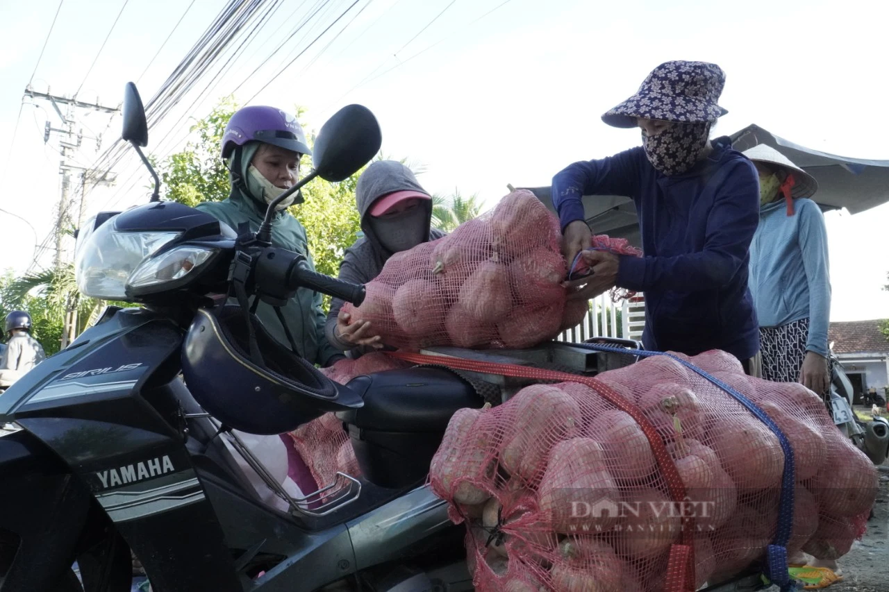 Hàng ngàn tấn bí đỏ ở Khánh Hòa bí đầu ra - Ảnh 6.