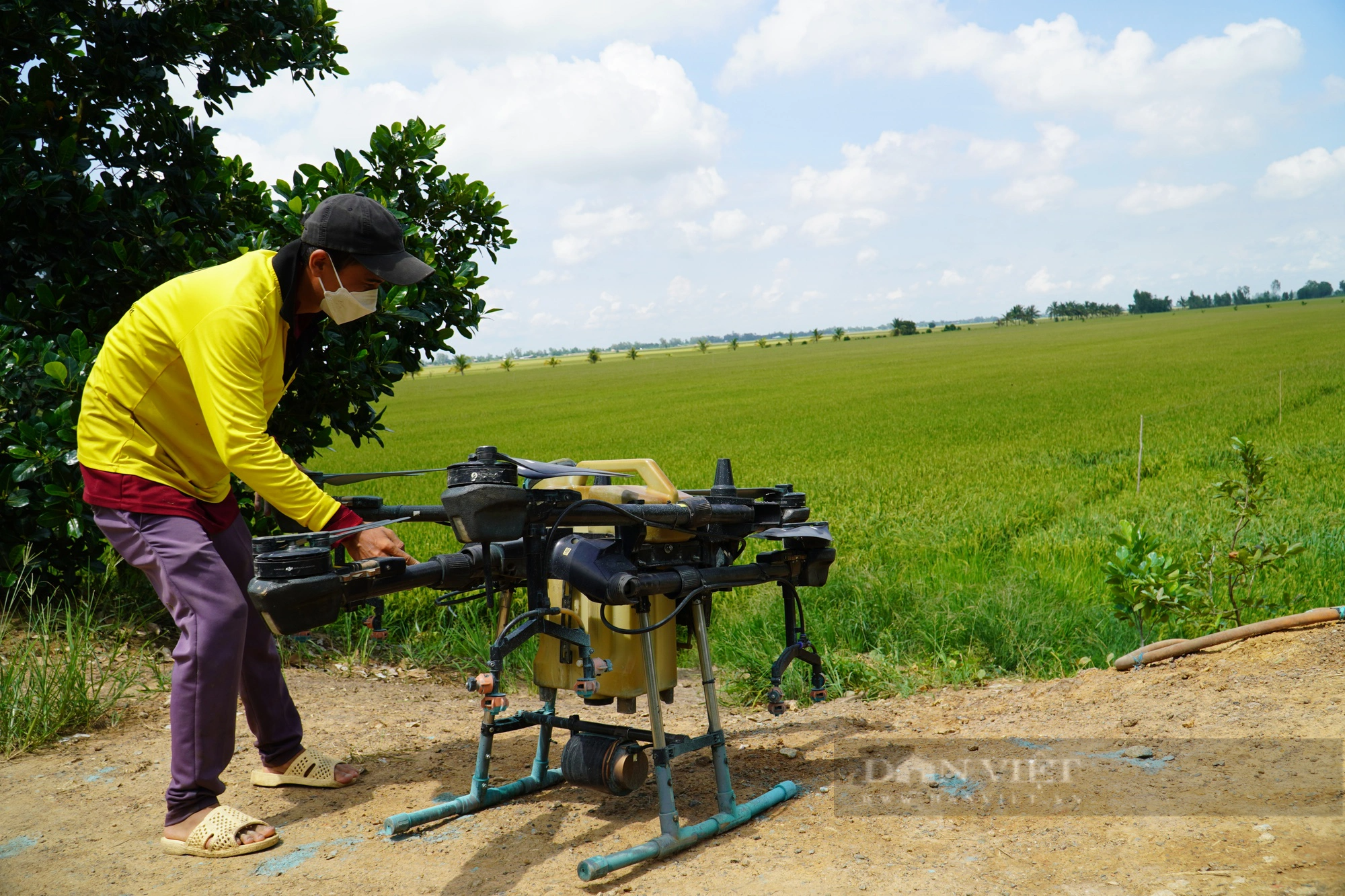 Trồng lúa ở Đồng Tháp: Giám sát bằng ứng dụng hệ thống viễn thám, ghi nhật ký trên điện thoại, phun thuốc bằng máy bay - Ảnh 1.