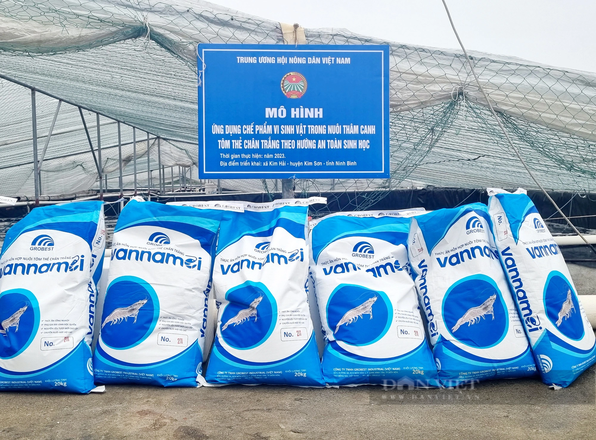 Ninh Bình: Bàn giao giống tôm, thức ăn hỗn hợp và chế phẩm vi sinh cho hội viên nông dân tại huyện Kim Sơn - Ảnh 6.