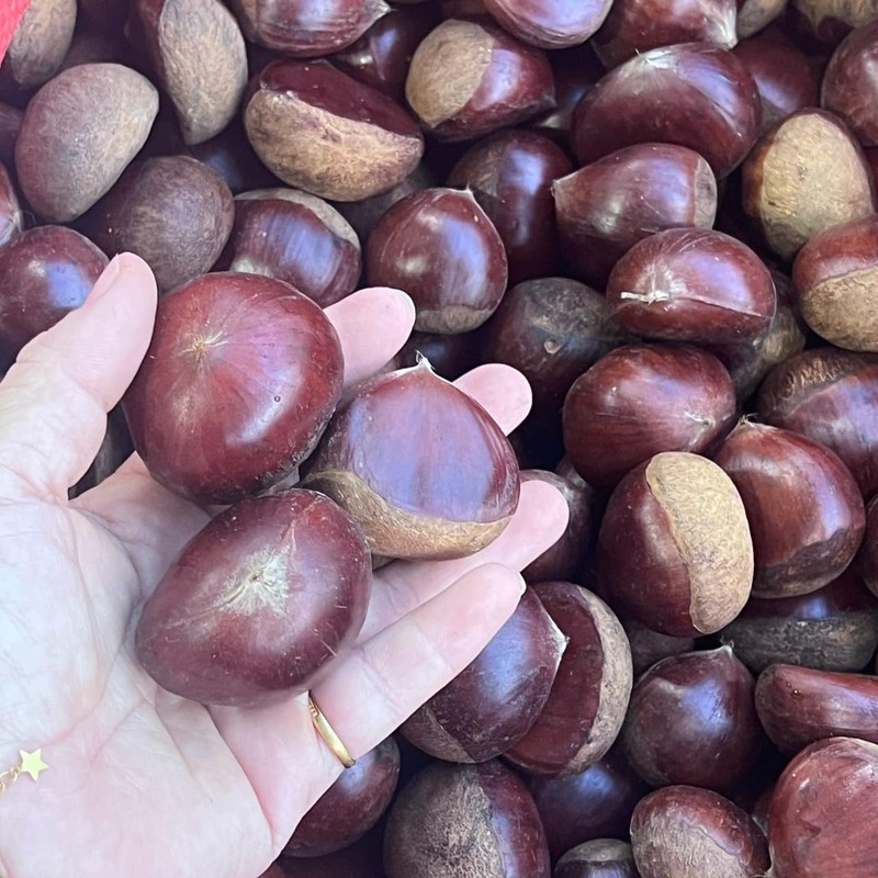 Bật mí hạt dẻ “khổng lồ” to bằng quả trứng gà, giá 30.000 đồng/kg sốt rần rần chợ mạng - Ảnh 2.