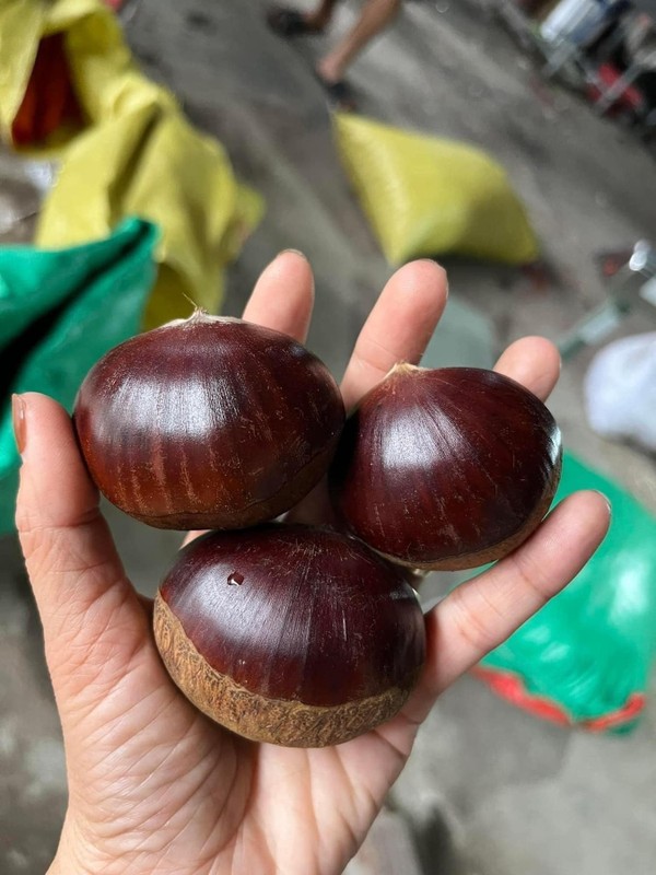 Bật mí hạt dẻ “khổng lồ” to bằng quả trứng gà, giá 30.000 đồng/kg sốt rần rần chợ mạng - Ảnh 8.