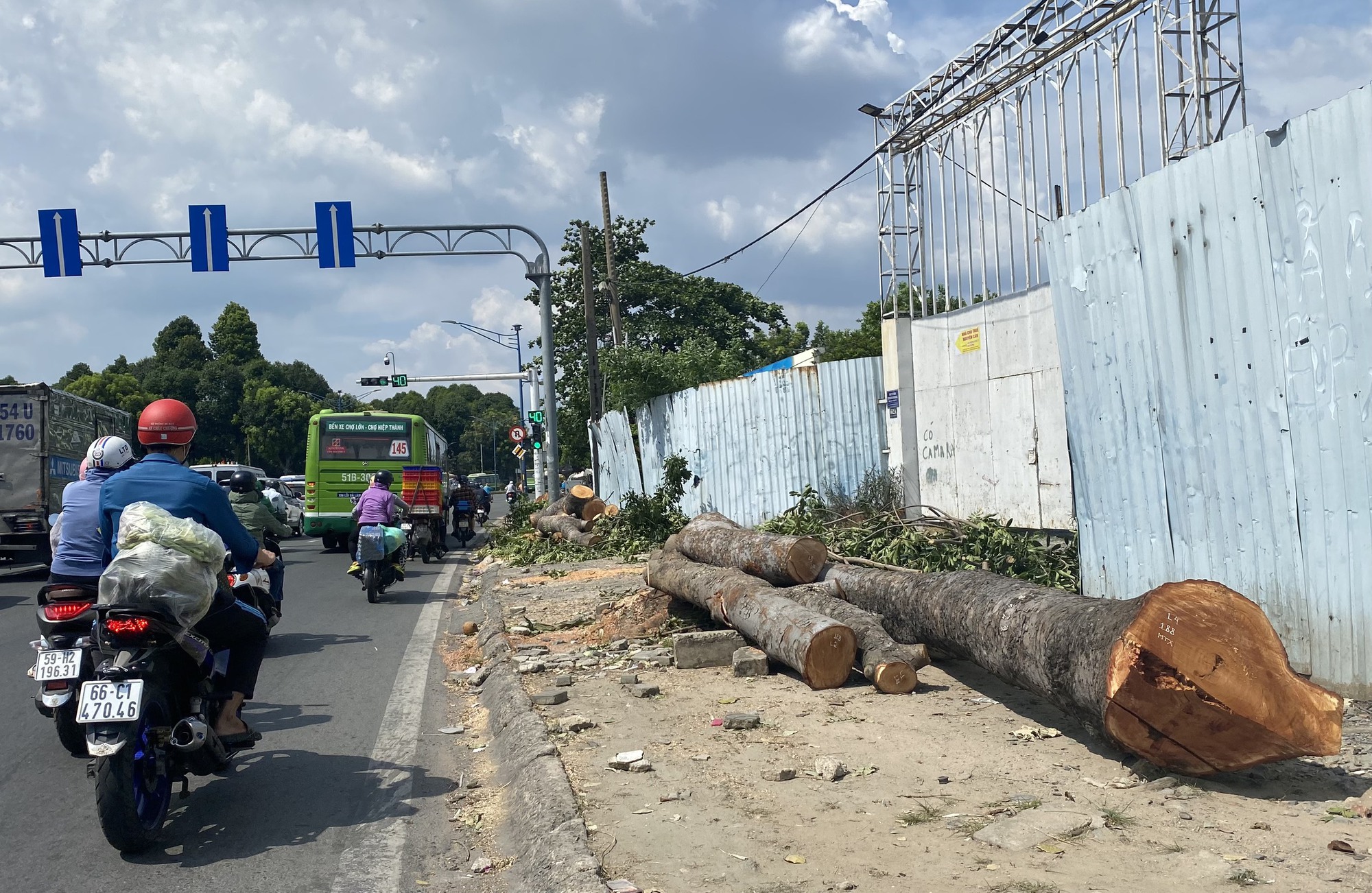 Những cây bị chặt để làm dự án nghìn tỷ được xử lý ra sao? - Ảnh 1.