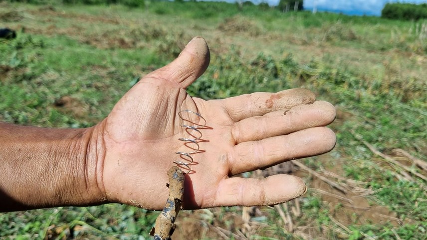 Ở Quảng Ngãi có một nghề rất độc đáo và lạ lẫm, không quá vất vả mà kiếm cả tiền triệu mỗi ngày - Ảnh 6.