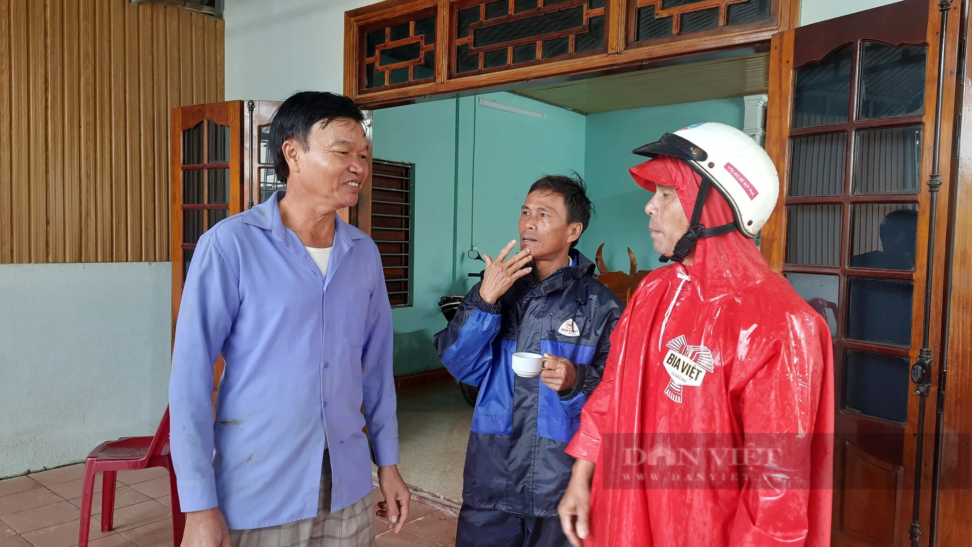 Hàng chục con bò dự án bị lũ cuốn trôi ở Quảng Trị - Ảnh 1.