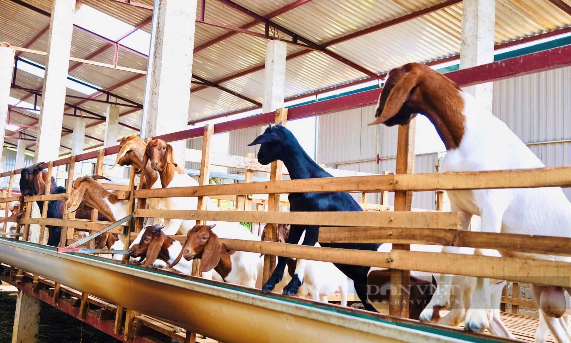 Truyền thông giảm nghèo bền vững chú trọng đến khu vực nông thôn, vùng đồng bào dân tộc thiểu số và miền núi - Ảnh 3.