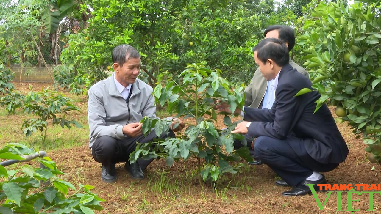 Nông dân tỉnh Sơn La hỗ trợ hội viên 45 tấn phân bón phục vụ sản xuất - Ảnh 3. Nông dân tỉnh Sơn La hỗ trợ hội viên 45 tấn phân bón phục vụ sản xuất - Ảnh 3.