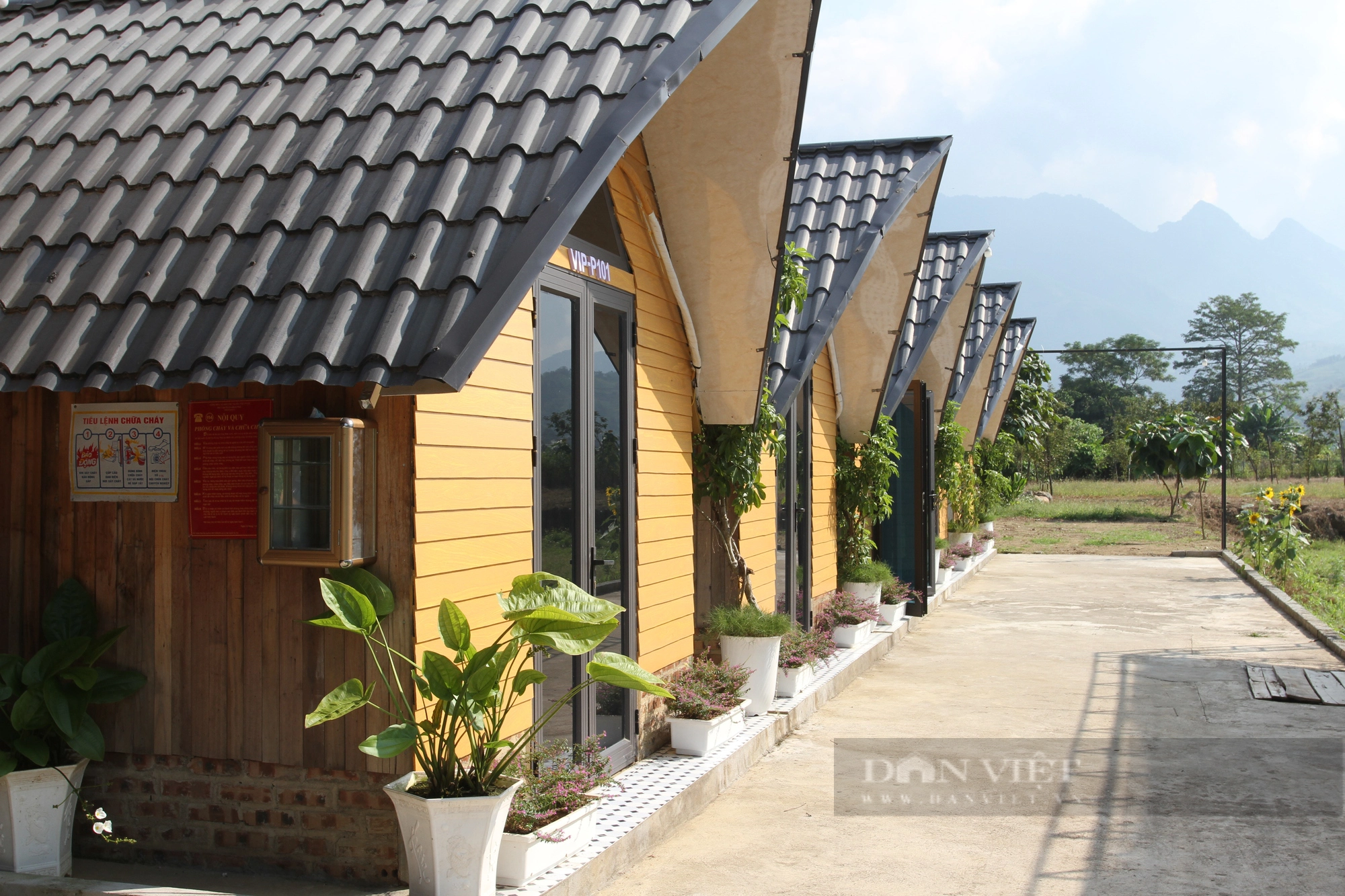 Về một bản làng của Yên Bái xem bà con làm du lịch cộng đồng, được thỏa sức tắm nước suối khoáng nóng  - Ảnh 5.
