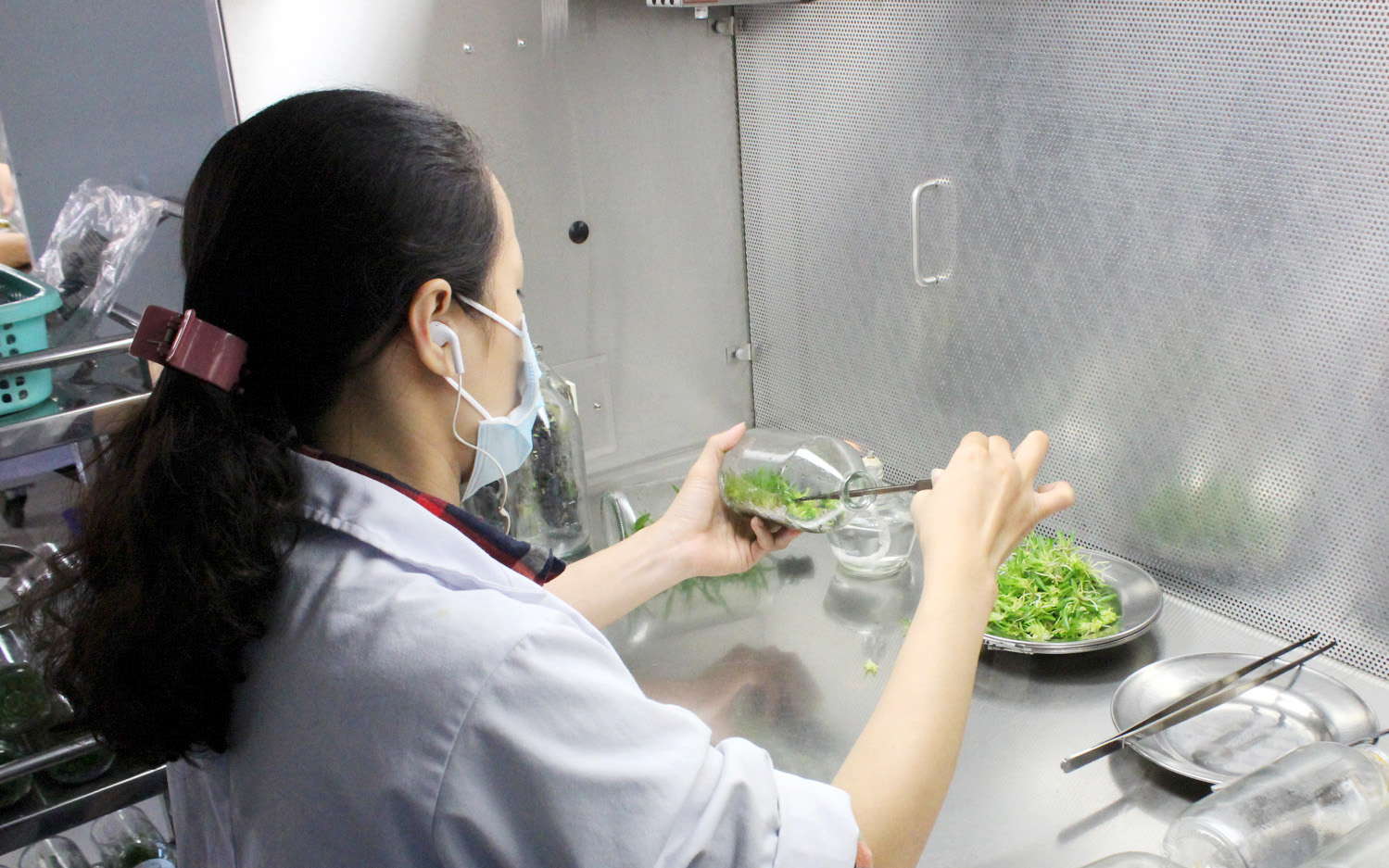 TP.HCM đào tạo nguồn nhân lực khoa học cho nông nghiệp đô thị - Ảnh 2.