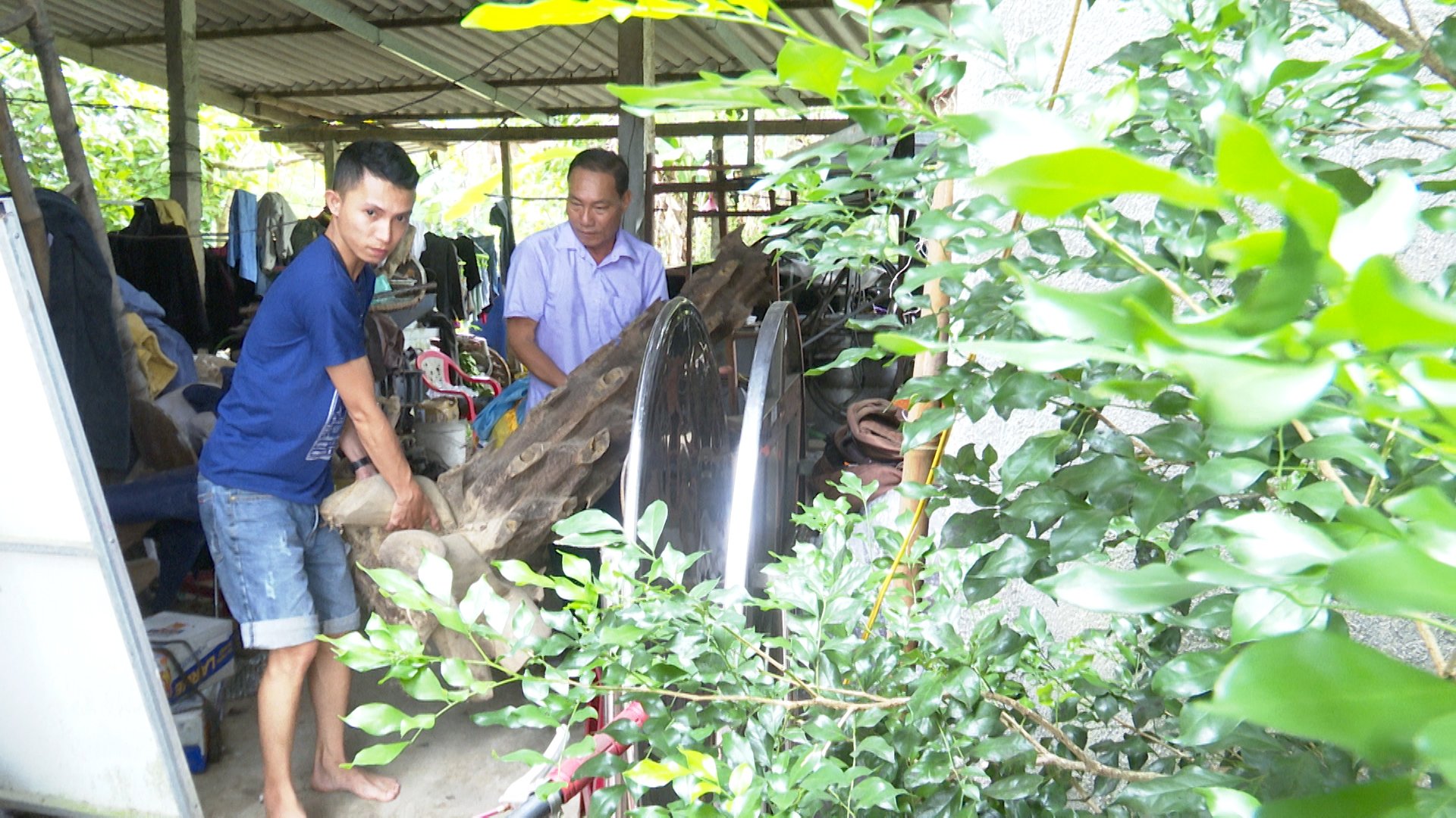 Đứng lên sau &quot;vấp ngã&quot;, lão Hoàng Văn Trưởng tạo nên thương hiệu trầm hương ở Quảng Nam - Ảnh 4.
