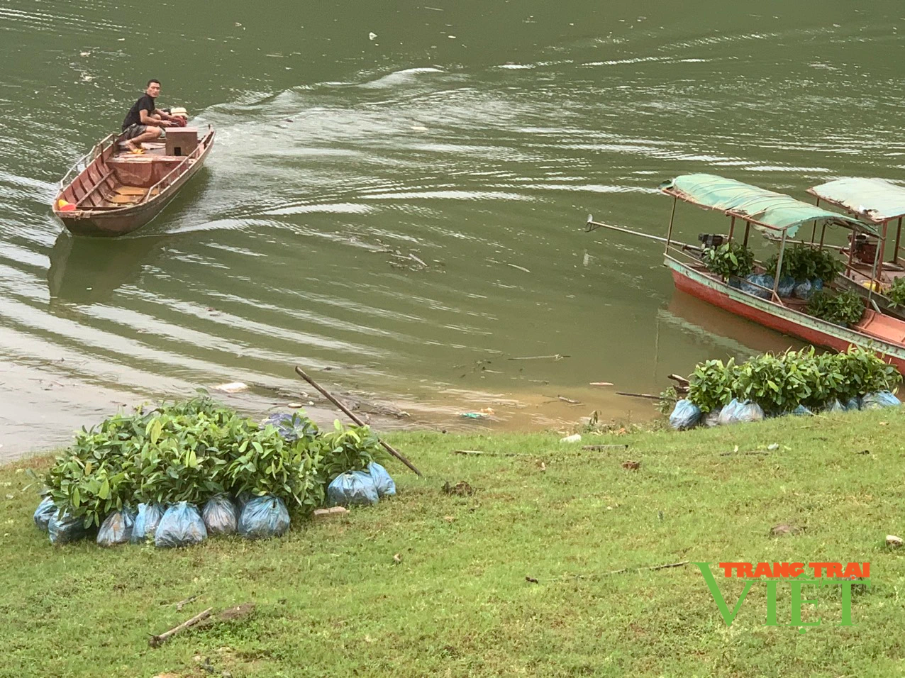 Huyện biên giới Mường Tè thực hiện tốt chính sách chi trả dịch vụ môi trường rừng - Ảnh 3.