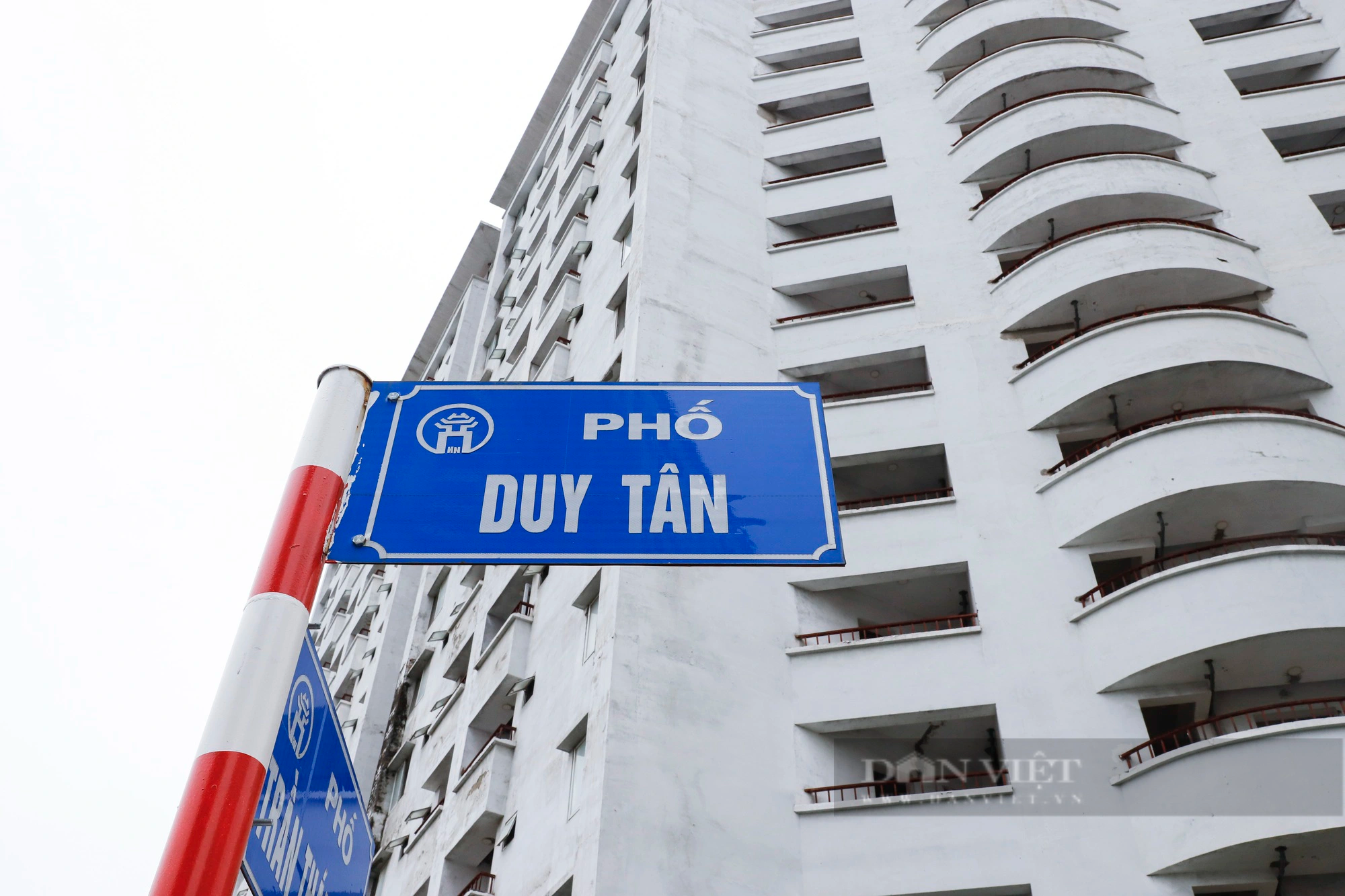 Cỏ cây mọc thành &quot;rừng&quot; tại khu nhà ở tái định cư nằm trên “đất vàng” quận trung tâm Hà Nội - Ảnh 2.