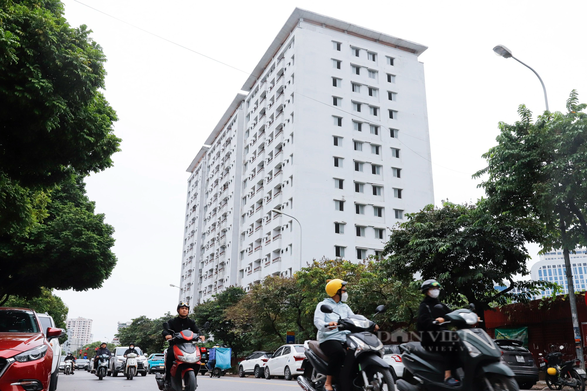Cỏ cây mọc thành &quot;rừng&quot; tại khu nhà ở tái định cư nằm trên “đất vàng” quận trung tâm Hà Nội - Ảnh 12.