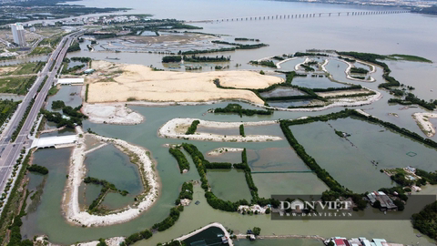 Hưng Thịnh, FLC, Thị Nại Eco Bay…nợ thuế 'khủng' tại Bình Định - Ảnh 1.